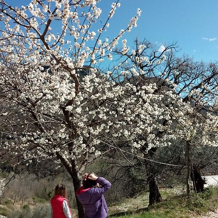 Valle Del Belvedere 斯波莱托 外观 照片