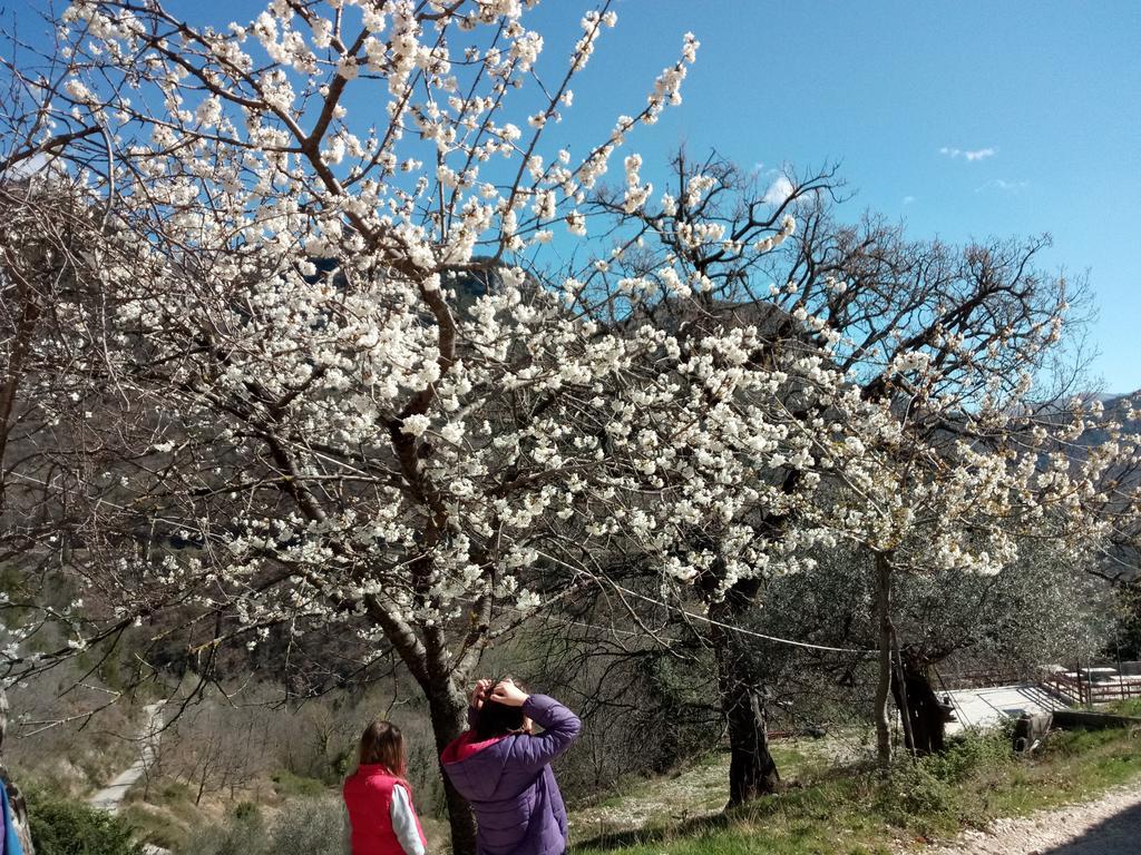 Valle Del Belvedere 斯波莱托 外观 照片